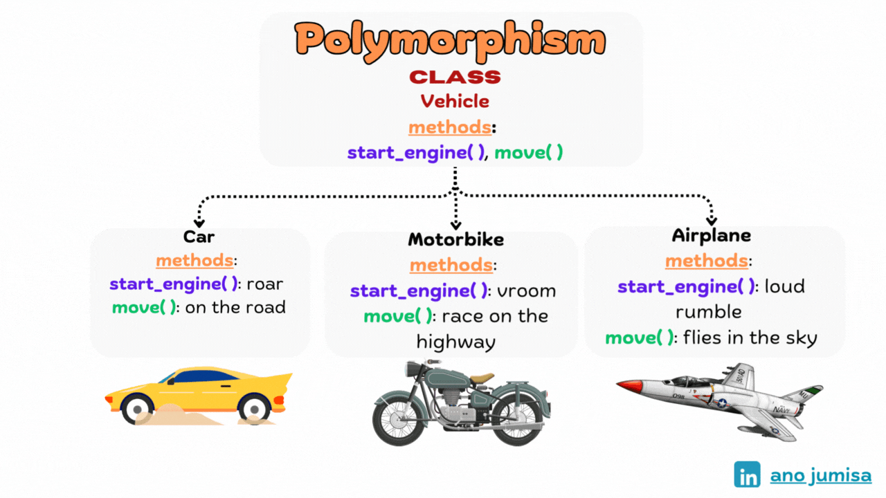 Polymorphism Image